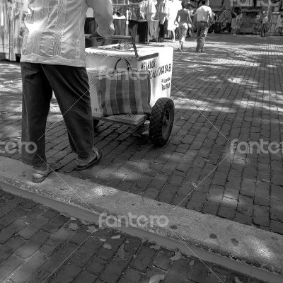 Mexico  Hawker