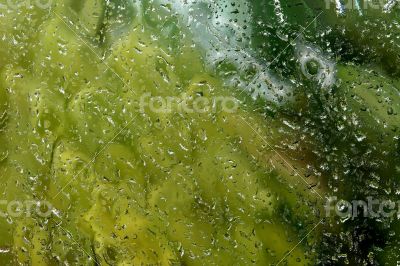 Abstract Background Abstract Background
