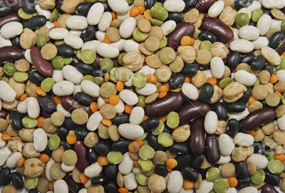 Various beans background Various beans background