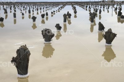 Salt lake Baskunchak