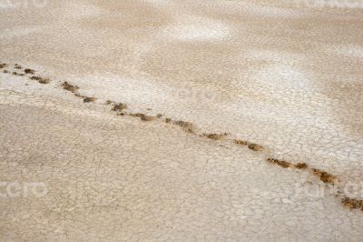 Salty land and footprints