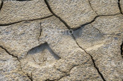Footprint in dried earth