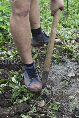 Loosing the soil