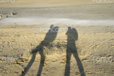 Shadows of two travellers