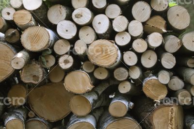 Wood stack background