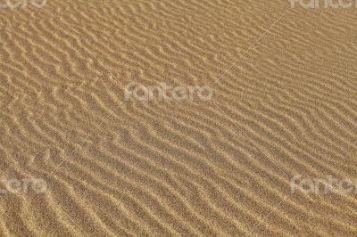 Rippled sand