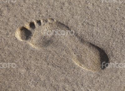 Footprint in the wet sand