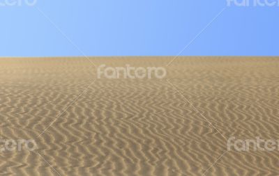 Desert dune