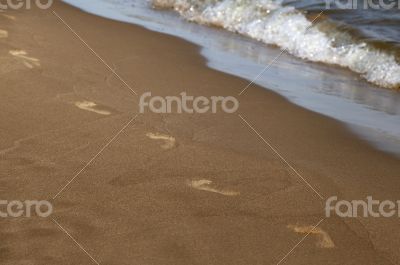 Footprints along the shore
