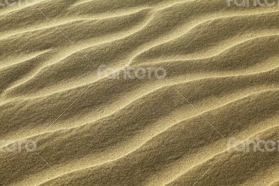 Rippled sand