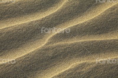 Rippled sand