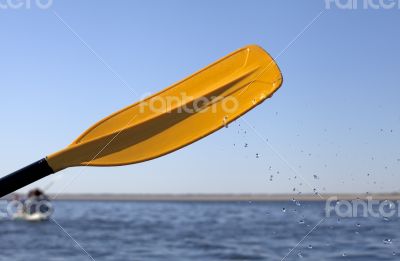 Kayaking