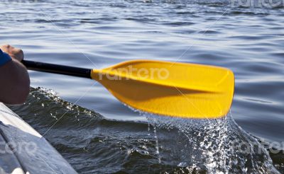 Kayaking Kayaking
