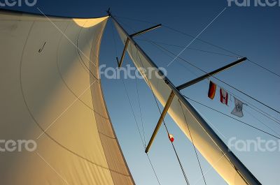 sail in the evening sun