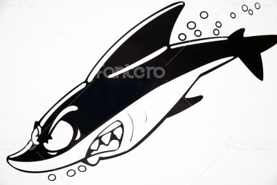 Cartoon Shark