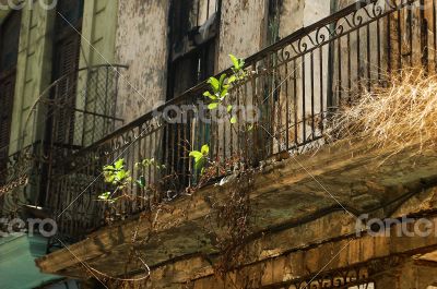 Ruin in Havanna