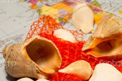 Seashells and small globe on a book with a geographical map.