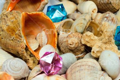 Several different shells and colorful glass pebbles
