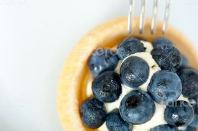 blueberry cream cupcake