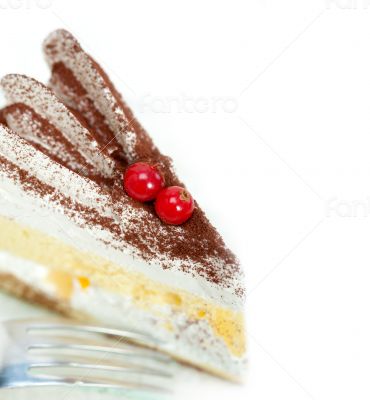 whipped cream and ribes dessert cake slice