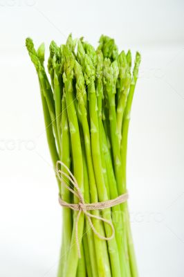 fresh asparagus over white
