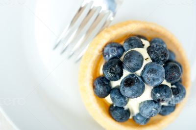 blueberry cream cupcake