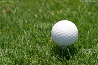 Golf Ball