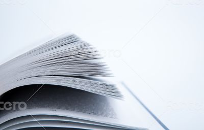 Pages of the book