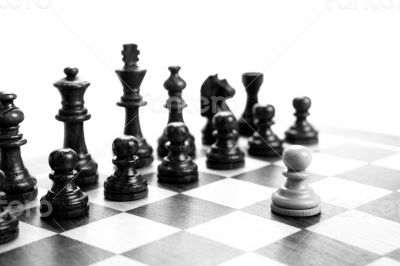 chess pieces on the board