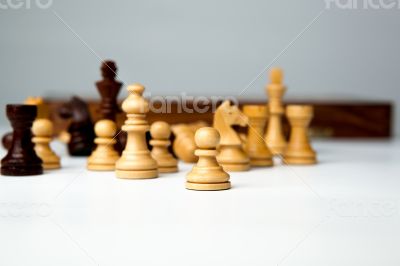 chess pieces on the board