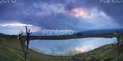 skull of horse in mountainous
