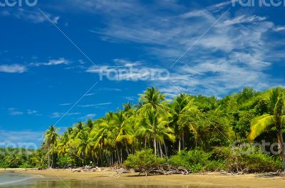 Beach in Costa Rica