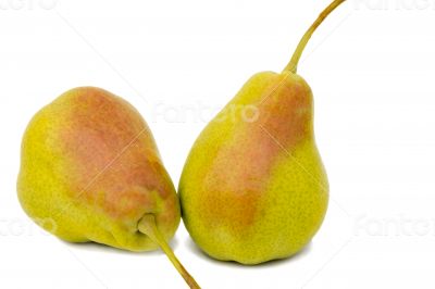 Two large pears on a white background