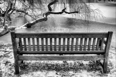 Bench