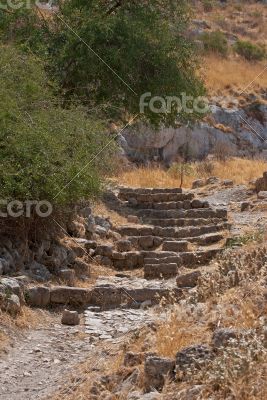 Stone steps.