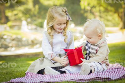 Little Girl Gives Her Baby Brother A Gift at Park