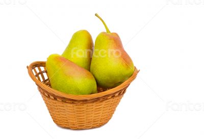 Large ripe pears in a wicker basket on a white background.