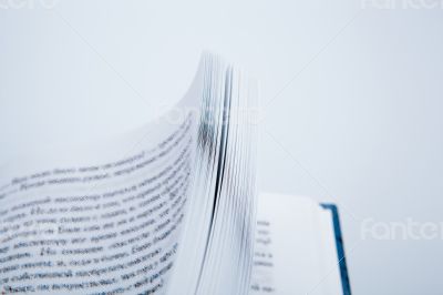 Pages of the book