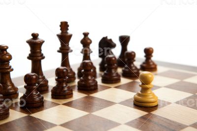 chess pieces on the board