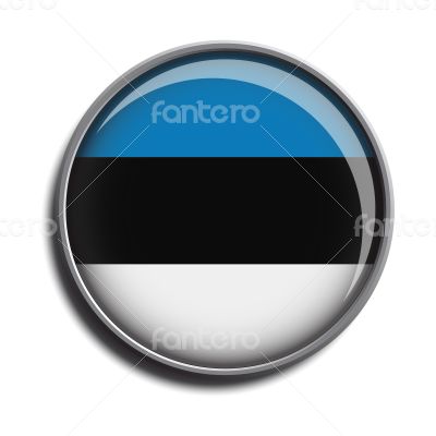 flag icon web button estonia