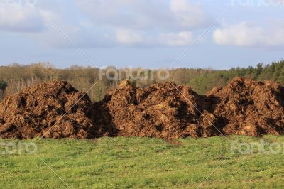 manure for agriculture