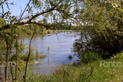 River River