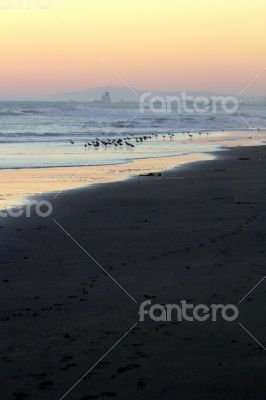 Beach Sunset Ormond Beach