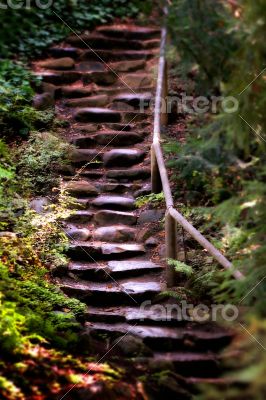 Old Wet Stone Steps