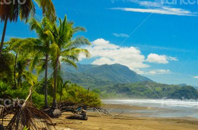 Beach in Costa Rica