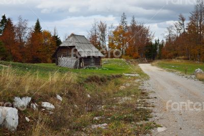 Autumn in Countryside