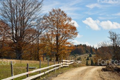 Autumn in Countryside