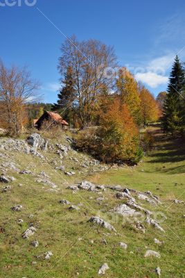 Autumn in Countryside