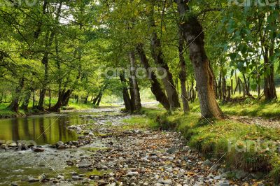 Small River in Countryside