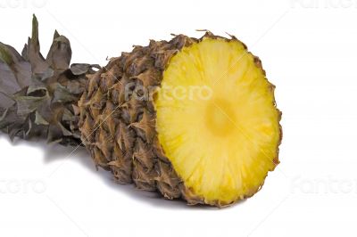 Cut the pineapple on a white background.
